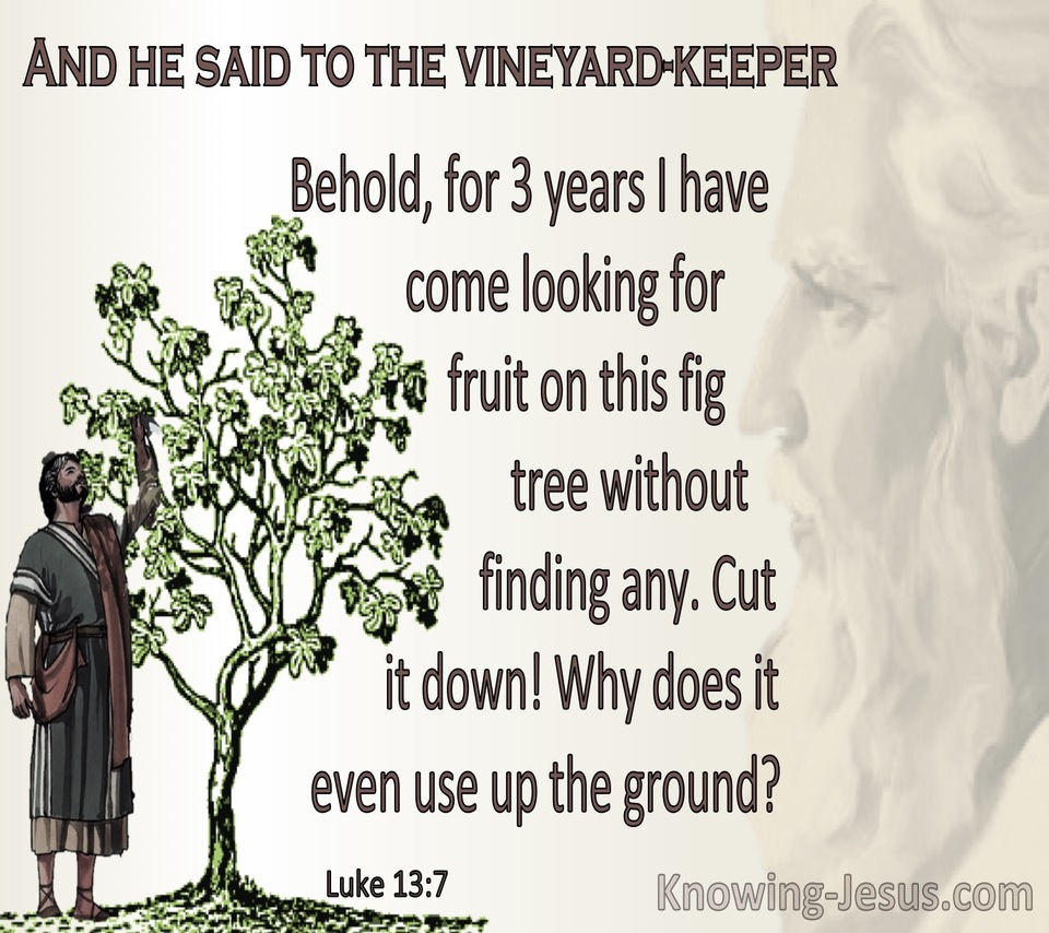 Luke 13:7 Parable Of The The Barren Fig Tree (beige)